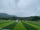 Πολυ λειτουργική τεχνητή τύρφη ποδοσφαίρου για τις περιοχές ελεύθερου χρόνου πάρκων κήπων προμηθευτής