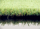 τεχνητή χλόη εγχώριων κήπων βιλών τοίχων 10mm, πλαστή τύρφη 6800 κήπων Dtex προμηθευτής