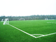 SGF ISO9001 χλόης τύρφης αγωνιστικών χώρων ποδοσφαίρου εξωραϊσμού τεχνητή πλαστή πιστοποίηση προμηθευτής