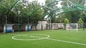 Τεχνητή τύρφη πράσινου/αθλητισμού ελιών πράσινη υπαίθρια για τους αγωνιστικούς χώρους ποδοσφαίρου/παιδική χαρά προμηθευτής