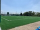 Συνθετική τύρφη τύρφης ποδοσφαίρου χλόης της FIFA για το ποδόσφαιρο 50mm ύψος σωρών προμηθευτής