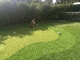 Συνθετικό τεχνητό 13m χλόης τύρφης γκολφ τοποθέτησης πράσινο ύψος Gateball προμηθευτής