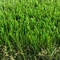 Ελιών πράσινο κήπων τεχνητό Monofilament τύπων κυμάτων S χλόης διπλό προμηθευτής