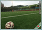 Επαγγελματική τεχνητή τύρφη ποδοσφαίρου 12 έτη που εγγυώνται το ποδόσφαιρο την τεχνητή χλόη προμηθευτής
