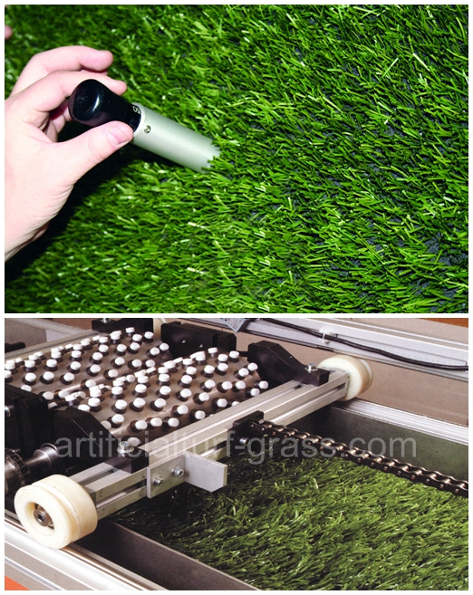 All Victory Grass (Guangzhou) Co., Ltd έλεγχος ποιότητας 0