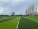 Διαμάντι 100 τεχνητή χλόη αγωνιστικών χώρων ποδοσφαίρου 45m ύψος προμηθευτής